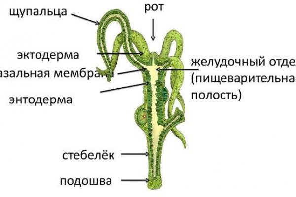 Вход на kraken через зеркало krmp.cc