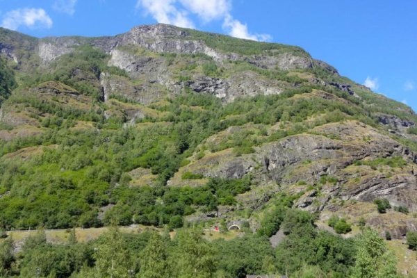 Ссылка кракен даркнет маркет