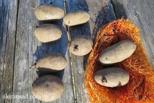 Правильная ссылка на kraken onion in.krmp.cc