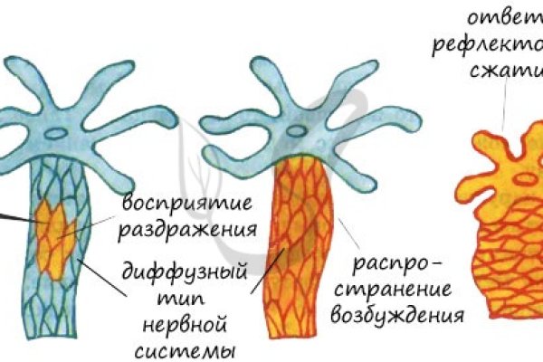 Кракен официальная ссылка kraken torion