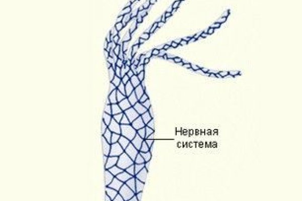 Kraken зеркало даркнет