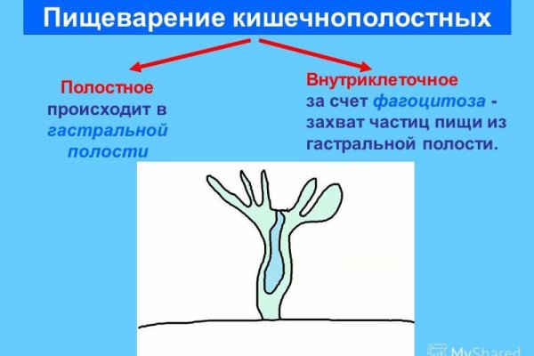 Mega darkmarket ссылка
